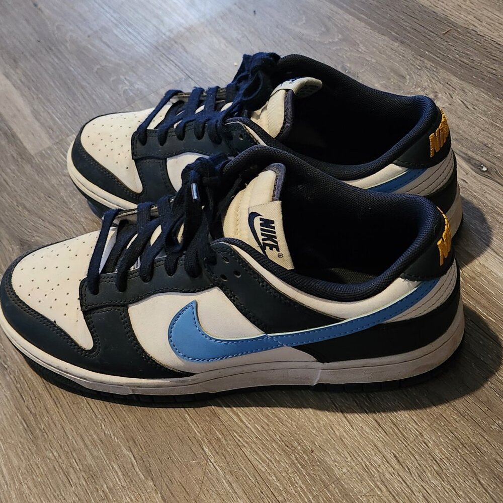 Nike dunks